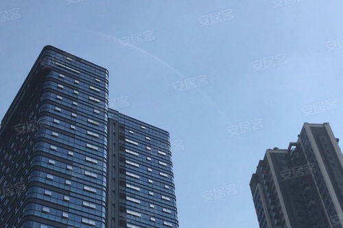 金地壹粵府綜合評析 優勢、不足與市場口碑