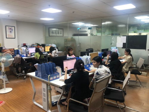 廣州企業一站式服務指南 從公司注冊到納稅申報全解析